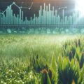 Sunlight-data-statistics-garden